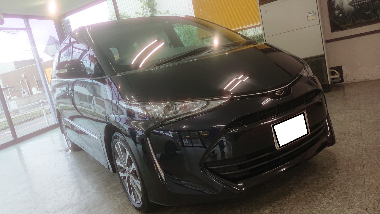 ペンキ 塗料が飛んできた ペイントミスト 塗装ミスト 除去します 洗車工房 ペンキ 塗料が飛んできた ペイントミスト 塗装ミスト 除去します 洗車工房